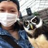 ぽぽちあきさん