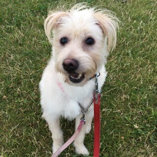 表情豊かな穏やか系男子みっくん