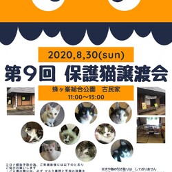第９回保護猫譲渡会in山口県