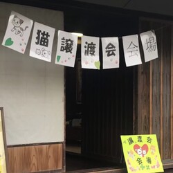 第９回保護猫譲渡会in山口県 サムネイル2