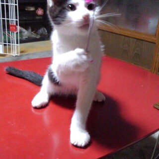 甘えん坊で賢い男の子♪