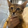 甘え上手なめいちゃん サムネイル3