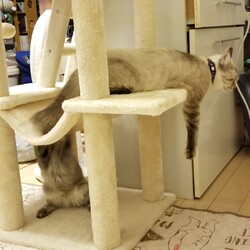 家族になって約1ヶ月