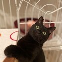 3度目の正直！今度こそ幸せになりたい