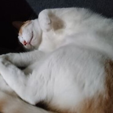 なっちゃん