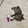 るる子