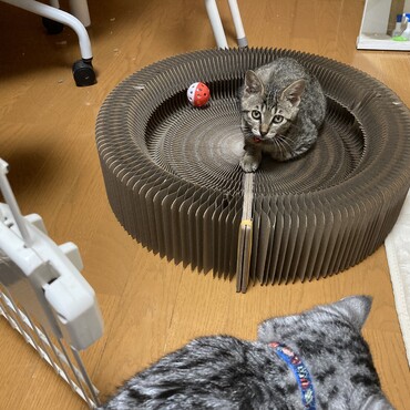 の写真