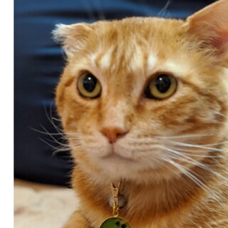 みんなに優しい　ブンちゃん♂　