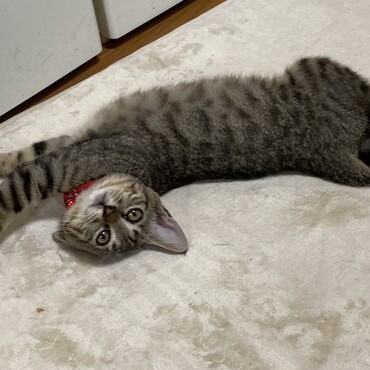 の写真