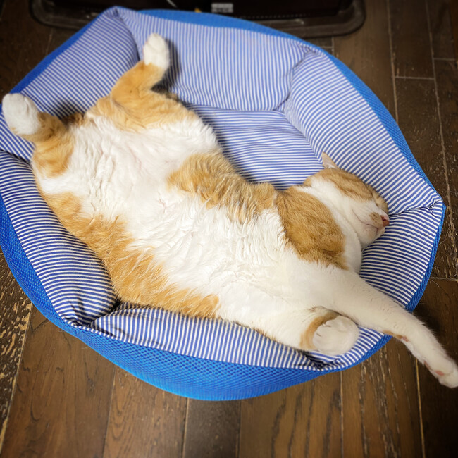 ミギ0629のカバー写真