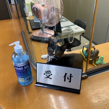 会社では受付もこなします。