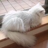 Day3 まだ怖いけど窓辺が好き