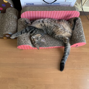 寝相が‥