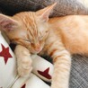 うちの天使