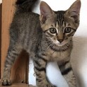 元気いっぱい甘えんぼの　ふう太君