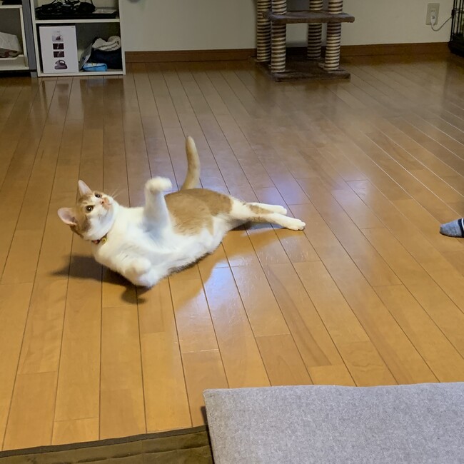 ママ郎のカバー写真