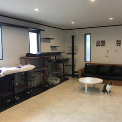 完全予約制 お見合い会