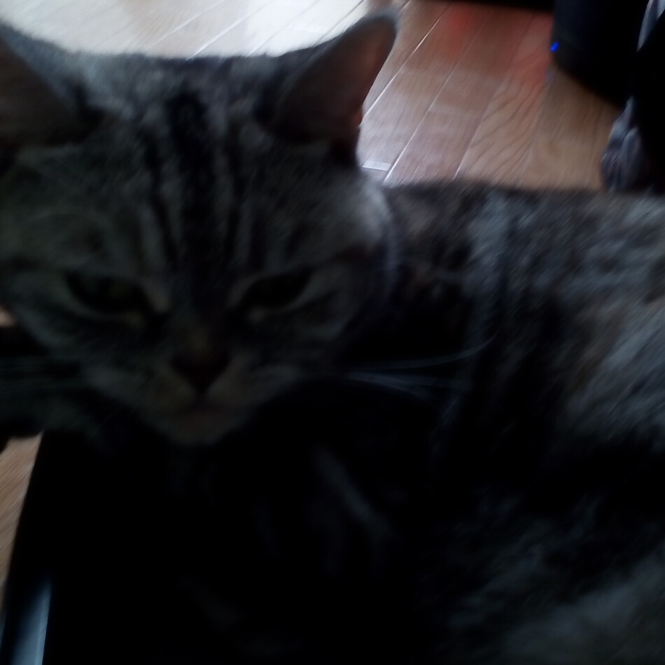 つぶこのカバー写真