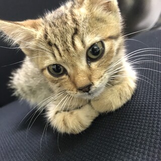 里親さま決まりました☆