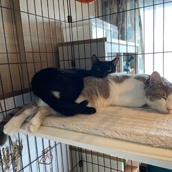 お気に入りの場所