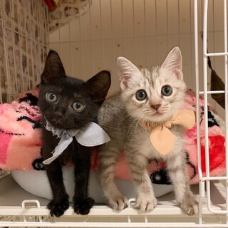 終了しましたm(._.)m