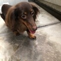 早急にお願いいたします。