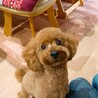 若かりし2歳頃かな　ベストショット