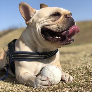 新たな募集は、締め切りとします