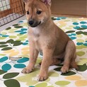 素敵な家族に巡り会えました