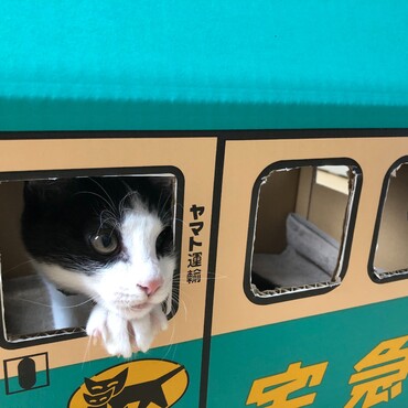 の写真