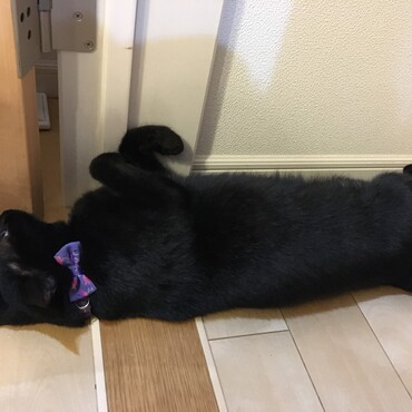 隙間風と床の冷たさがここ最高♡