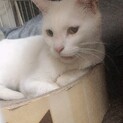 備考をお読み下さい。