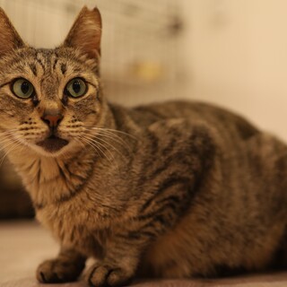 ♡小柄♡ますみちゃん！