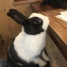 のえくる