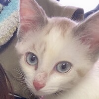 りん