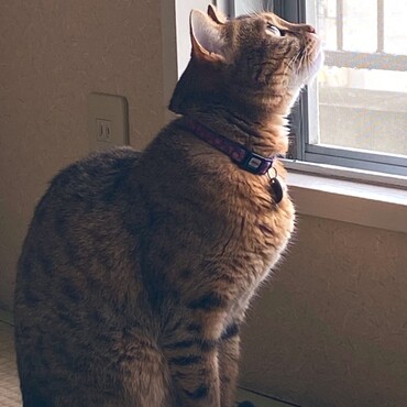 の写真