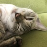 じゅうべー