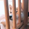現お問い合わせいただいた方で絞らせていただきます！