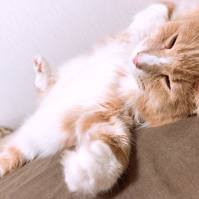 おぐのののカバー写真