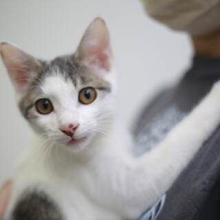 鼻ポチがチャームポイント！甘えん坊のばんくん