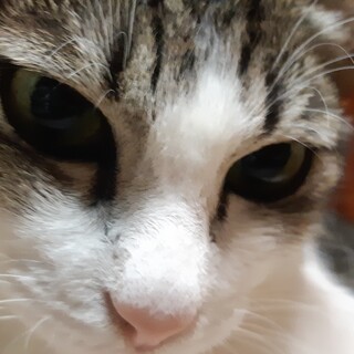 小顔で小柄！つぶらな瞳が美しい弘子