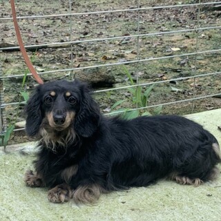 美人さんな女の子