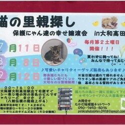猫の里親探し　保護にゃん達の幸せ譲渡会in大和高田市