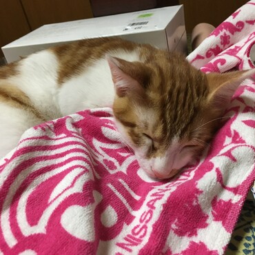 4ヶ月齢になりました