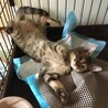 4ヶ月齢になりました