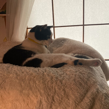 の写真