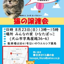保護猫譲渡会in犬山