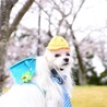 ランドセルで振り向きポーズ可愛い