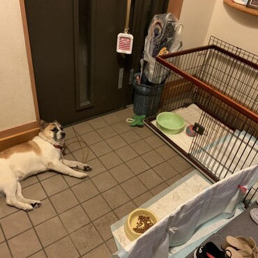 の写真