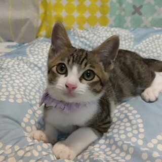 ずっとのおうち決定(^-^)/めばるくん